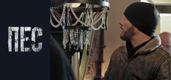 Dog, Season 6, Episode 29