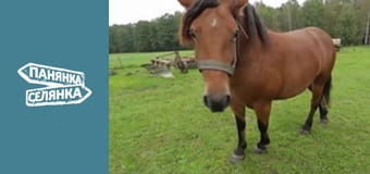 City Girl, Country Girl, Season 8, Episode 3