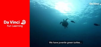 Animal Embassy - A Day in the Life of Jorge