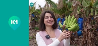 "Світ_огляд з Машею Себовою".