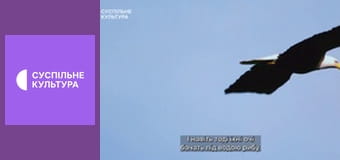 Д/с "Спецпризначенці тваринного світу". "Повітряні сили".