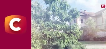 "История одного преступления", 8 сезон, 27 эп. "Любовь до смерти".