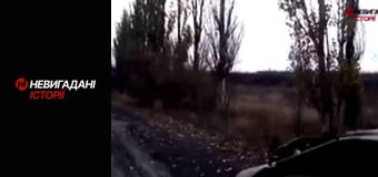 Невигадані історії.