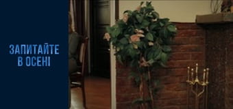 Серия 35 Серия 35