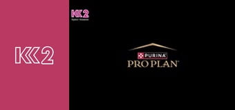 Сімейний суд E4 - З неба на землю