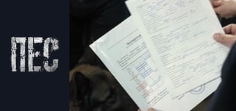 Пес, Сезон 6, Серія 33