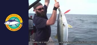 Spitfire, part 1 Spitfire, part 1