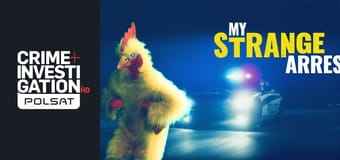 Absurdalne przestępstwa S3E10 - Top 5: Dziwne pościgi