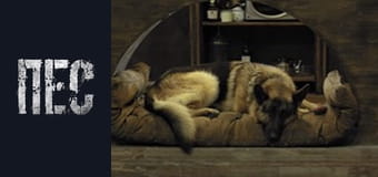 Dog, Season 1, Episode 2