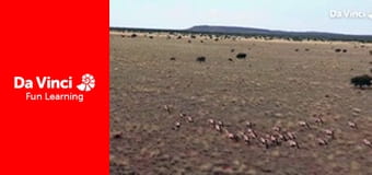Сіяя - Рушайте з нами - Ковчег Ноя Сіяя - Рушайте з нами - Ковчег Ноя