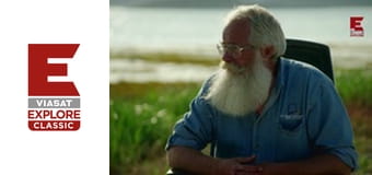 Заморожене золото Сезон 1 Епізод 6