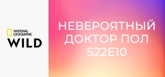 Невероятный доктор Пол S22E10