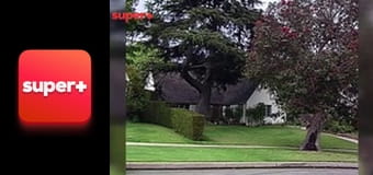 Т/с "Альф", 3 сезон, 16 с.