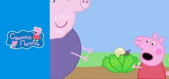 Крошки-букашки