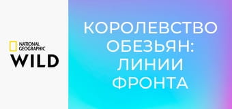 Королевство обезьян: линии фронта