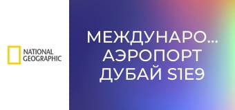 Международный аэропорт Дубай S1E9 - Бейте тревогу