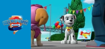 Щенячий патруль. Сезон 5 – серія 26