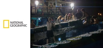 Непокорные океаны S1E4 - Капитан