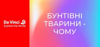 Бунтівні тварини - Чому цикади не люблять ос