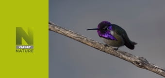 Рік на планеті Земля S1E3 - Літо