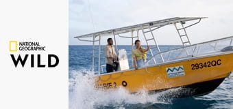 Тайны осьминога S1E1 - Перевёртыши