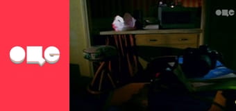 Т/с "CSI: Місце злочину - Маямі", 7 сезон, 9 с.