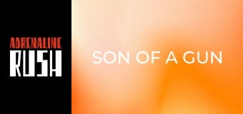 Son of a Gun