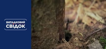 Случайный свидетель. Вокруг света, Выпуск 4 Случайный свидетель. Вокруг света, Выпуск 4