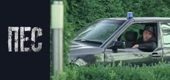 Dog, Season 6, Episode 3