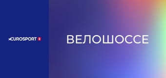 Велошоссе. Чемпионат мира в Кигали, Руанда. Мужчины. Групповая гонка.