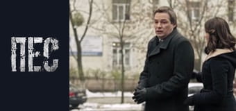 Dog. New Year's, Episode 1