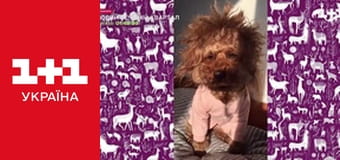 Вечірній Квартал E8