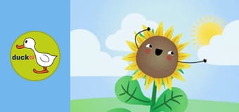 Happy Garden - Sunflower