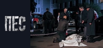 Пёс, Сезон 5, Серия 13