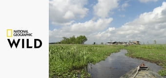 Тайны Миссисипи S1E1