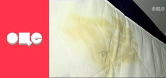 Ревізор, 3 сезон, 11 еп.