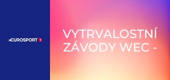 Vytrvalostní závody WEC - 10 hodin v Losailu Vytrvalostní závody WEC - 10 hodin v Losailu