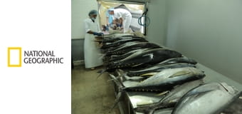 Непокорные океаны S1E3 - Дело