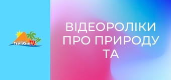 Відеороліки про природу та тварин. Відеороліки про природу та тварин.