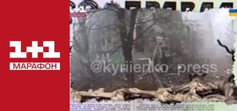 "Единые новости". Телемарафон.