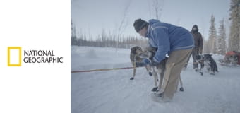 Коренные жители Аляски S3E20 - История выживания