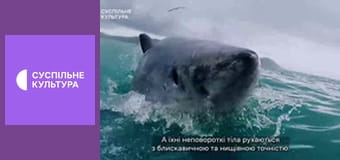 Д/с "Дикі хижаки". "Океани".