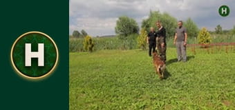 Знають навіть діти