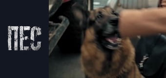 Dog. New Year's, Episode 2