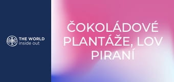 Čokoládové plantáže, lov piraní a krokodílov. Bolívia. Čokoládové plantáže, lov piraní a krokodílov. Bolívia.