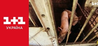 Міняю Жінку S14E5