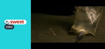 Улица Монстро, 10