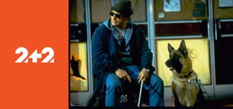 К-9. Приватні детективи