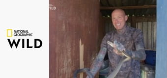 Змеи в городе: Лучшее S7E3