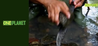 Путешествия по городам с историей, 11 эп. Токио, Япония. Город будущего.